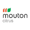 Mouton Citrus Mouton Citrus