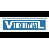 VIGITAL INDIA