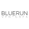 BlueRun Ventures BlueRun Ventures