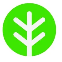 Trees for Kenya