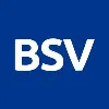 BSV Blockchain