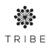 Tribe Dubai Tribe Dubai
