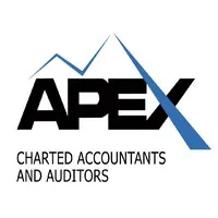 Apex Chartered Accountants Apex Chartered Accountants