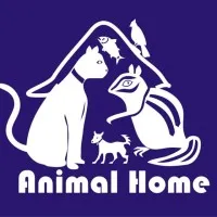 AH_Animal Foundation