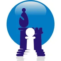 Strategic Enterprise Solutions, Inc.