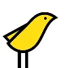 Yellow Canary Yellow Canary