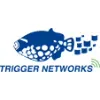 Trigger Networks Trigger Networks