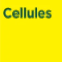Cellules