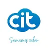 Consultores en IT Consultores en IT