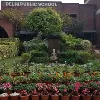 DPS Noida DPS Noida