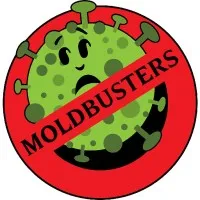 MoldBusters Dallas 