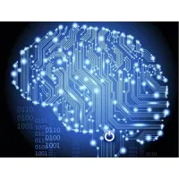 Nextexpert Technologies Pvt Ltd