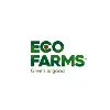 Eco Farms Avocados