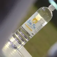 Bornfire Services Pvt Ltd