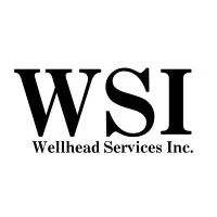 Wellhead Services Inc Wellhead Services Inc