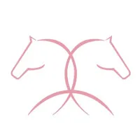 Steed International Trade S.A.