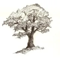 Ashwood Advisors, LLC