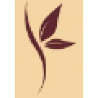 Texas Gynecology, PLLC
