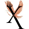 Phoenix Home Care and Hospice Phoenix Home Care and Hospice