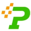 POLLENT TECHNOLOGY SERVICES LLC POLLENT TECHNOLOGY SERVICES LLC