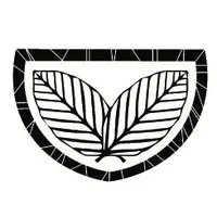 Kava Luv Social Lounge