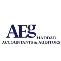 AEG HADDAD - Accountants & Auditors