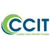CCIT INC CCIT INC