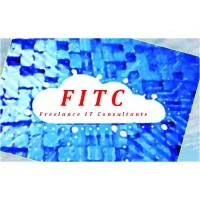 Freelance IT Consultant Service