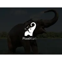 Pixelkari.com
