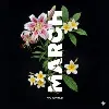 March Collective PTE LTD March Collective PTE LTD