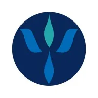 American Psychological Foundation