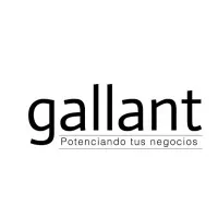 Gallant Group