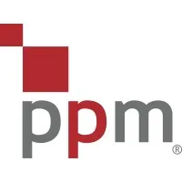 Project Portfolio Management (PPM)
