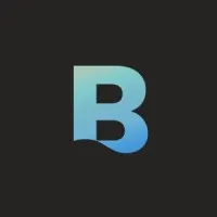 BRINK Interactive