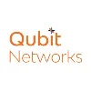 Qubit Networks