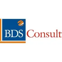 BDS CONSULT BDS CONSULT