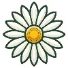 Chamomile AI Chamomile AI