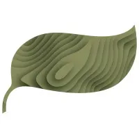 Te Ahumairangi Investment Management