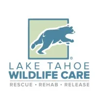 Lake Tahoe Wildlife Care