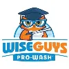 WiseGuys Pro-Wash WiseGuys Pro-Wash