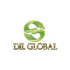 DIL GLOBAL CONSULTING DIL GLOBAL CONSULTING