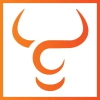 Toro Neurovascular