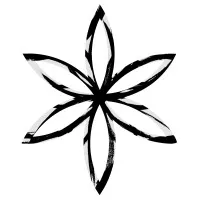 Palindrome Design