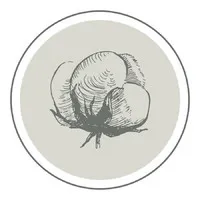 The Gin at Hidalgo Falls