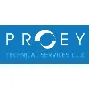 PROEY Technical Services LLC PROEY Technical Services LLC