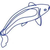Koi Consulting Koi Consulting