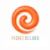 Pioneer Elabs Limited Hyderabad Pioneer Elabs Limited Hyderabad