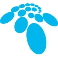 539 IT Consulting