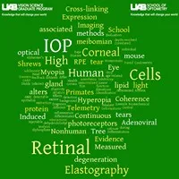 University of Alabama at Birmingham - School of Optometry Vision Science Graduate Program