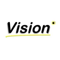 Vision Strategy Management Consulting